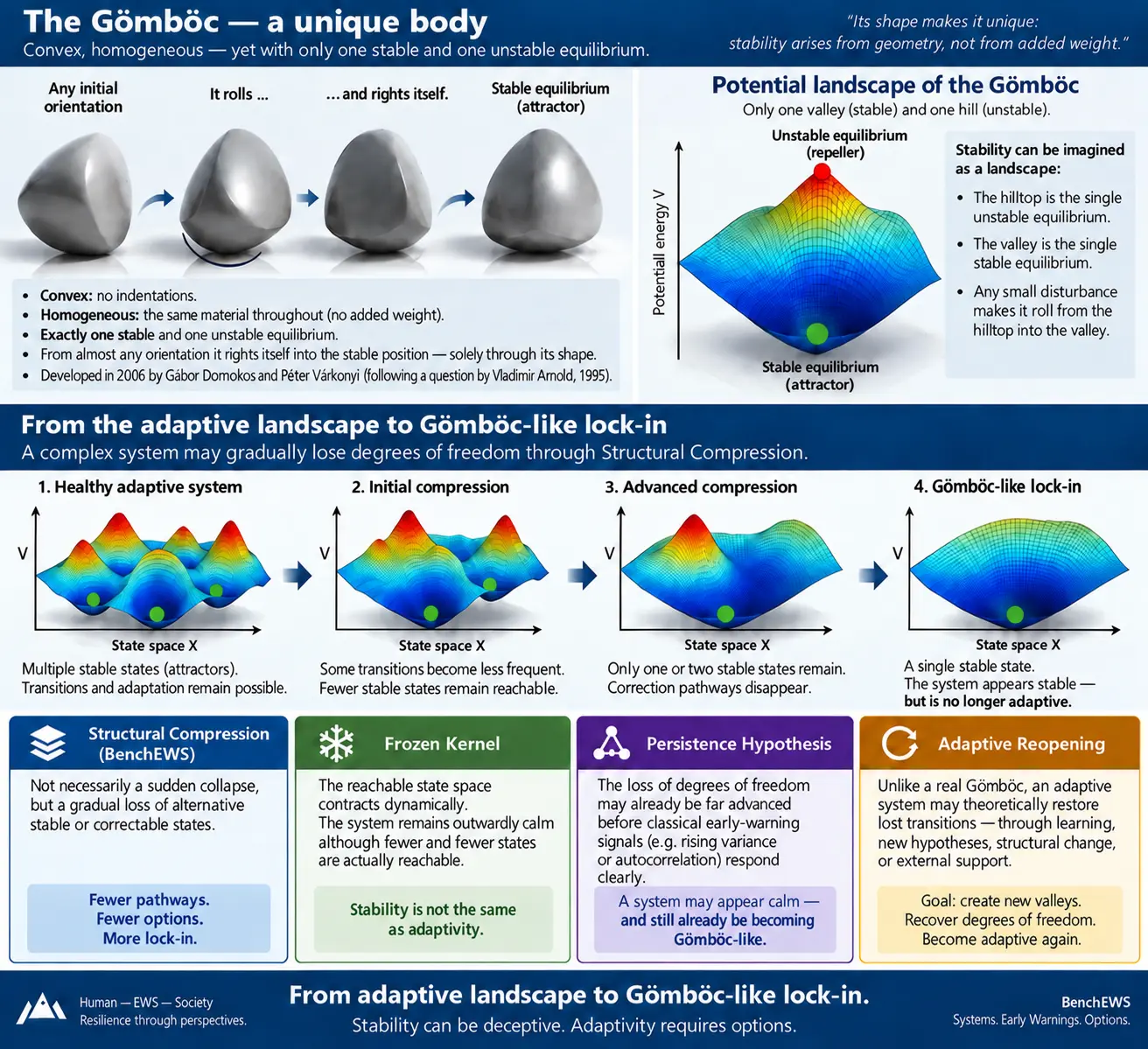 Full BenchEWS infographic: the Gömböc and the path from an adaptive landscape to Gömböc-like lock-in